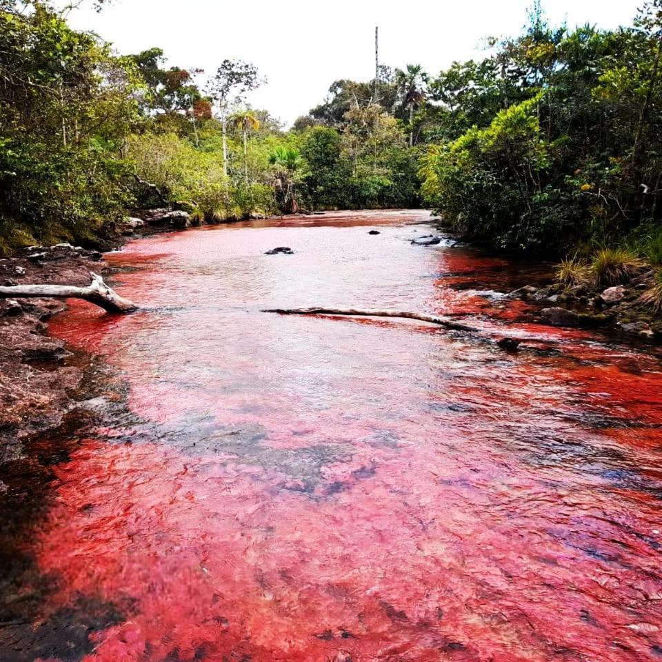 Hotel Ecologico Makalombia La Macarena Buitenkant foto