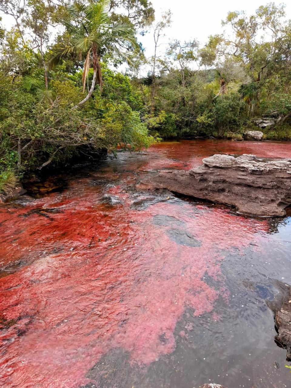 Hotel Ecologico Makalombia La Macarena Buitenkant foto