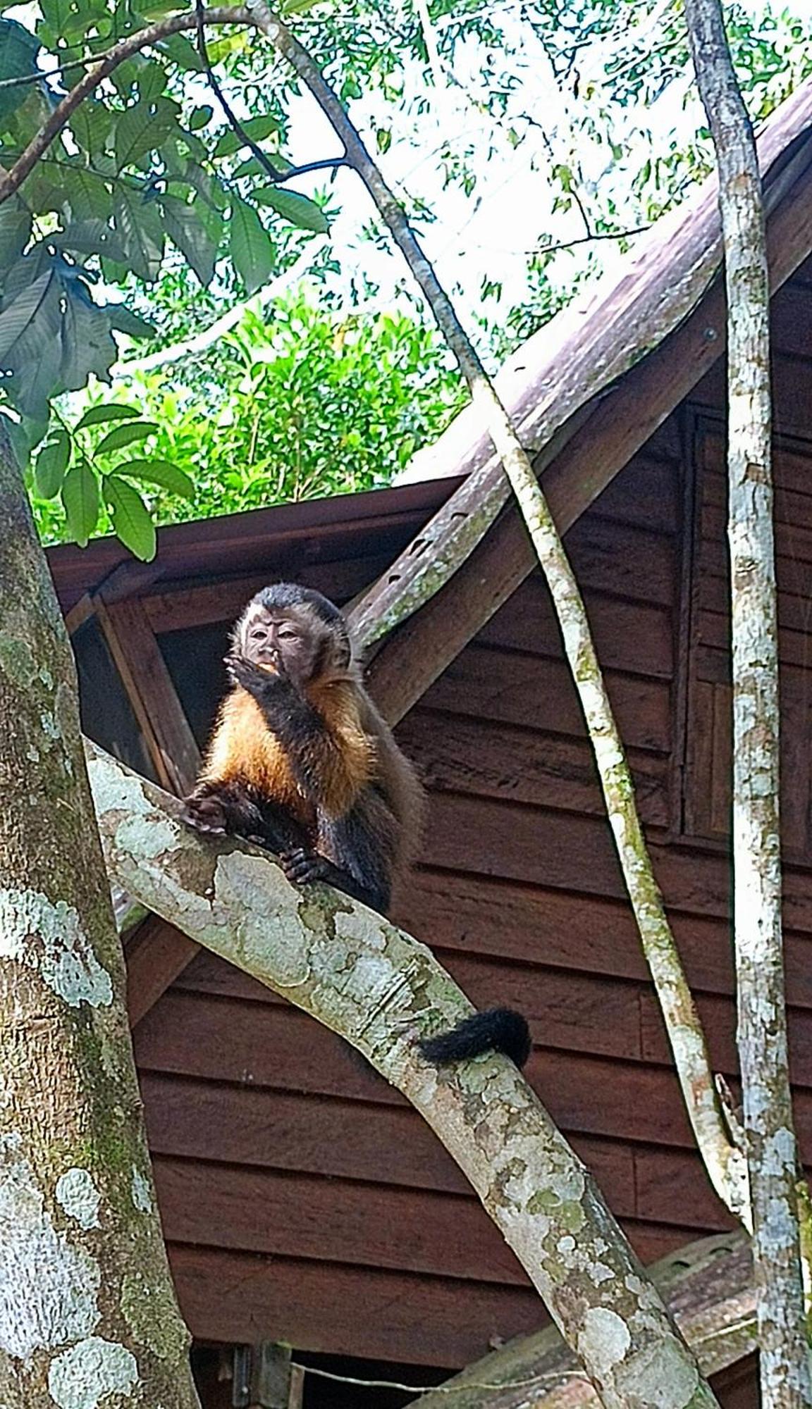 Hotel Ecologico Makalombia La Macarena Buitenkant foto