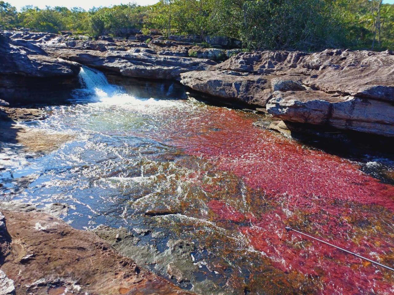 Hotel Ecologico Makalombia La Macarena Buitenkant foto