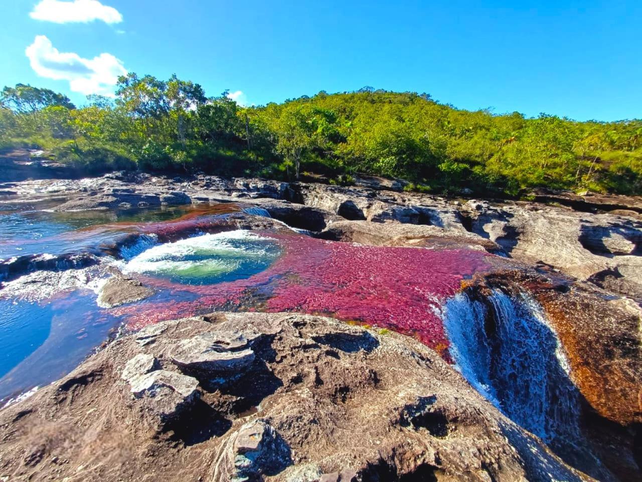 Hotel Ecologico Makalombia La Macarena Buitenkant foto