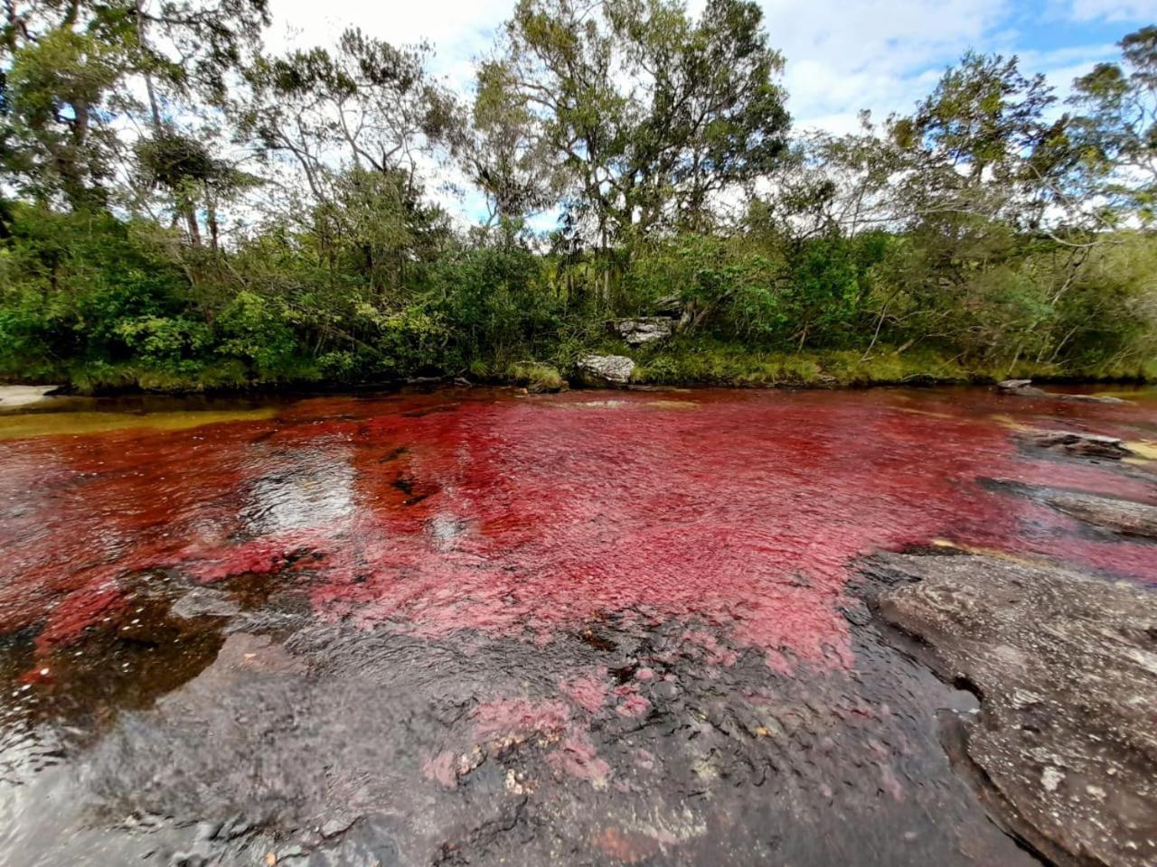 Hotel Ecologico Makalombia La Macarena Buitenkant foto