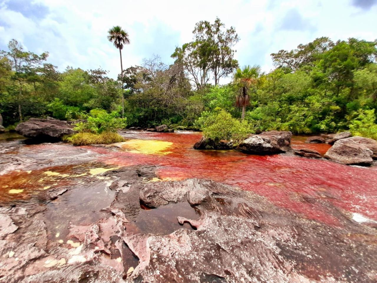 Hotel Ecologico Makalombia La Macarena Buitenkant foto