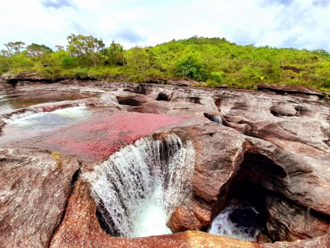 Hotel Ecologico Makalombia La Macarena Buitenkant foto